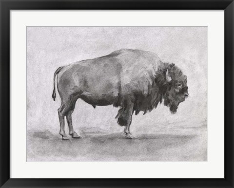 Framed Wild Bison Study I Print