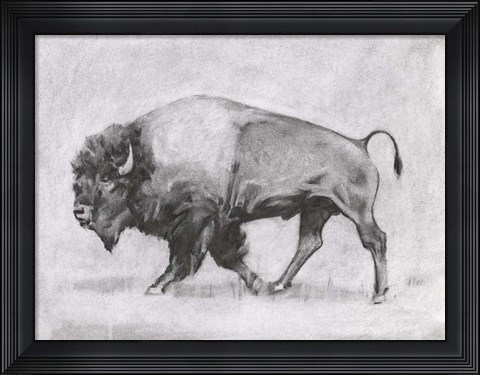 Framed Wild Bison Study II Print