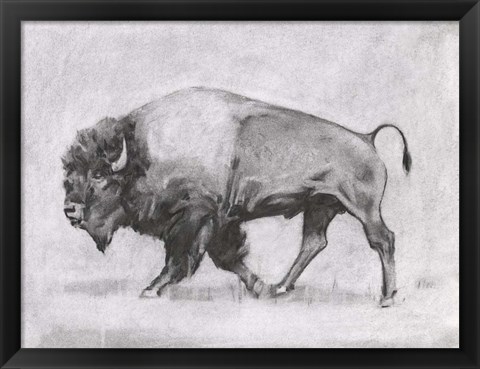 Framed Wild Bison Study II Print