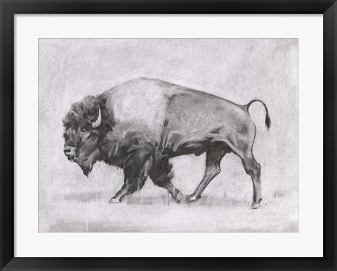 Framed Wild Bison Study II Print