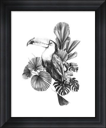 Framed Toucan Toile I Print