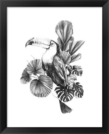 Framed Toucan Toile I Print