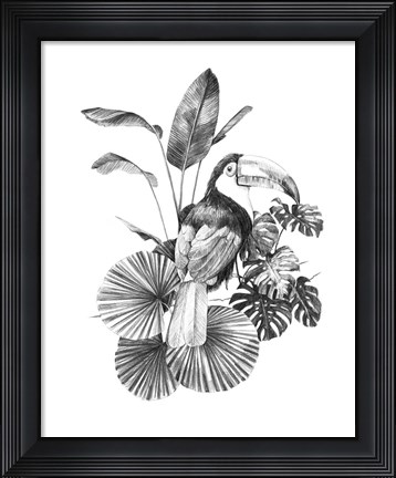 Framed Toucan Toile II Print