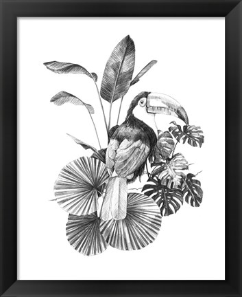 Framed Toucan Toile II Print