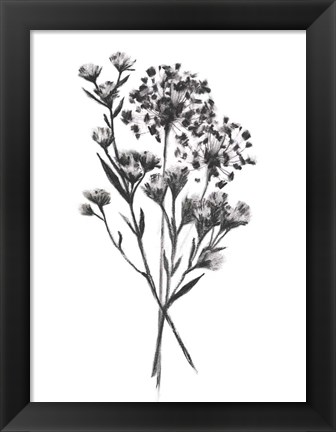 Framed Wild Roadside Bouquet II Print