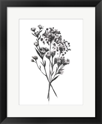 Framed Wild Roadside Bouquet II Print