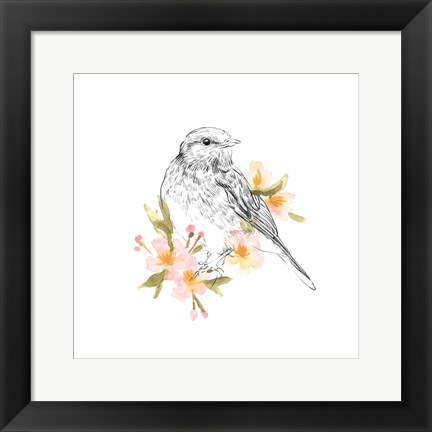 Framed Robin Sketch I Print