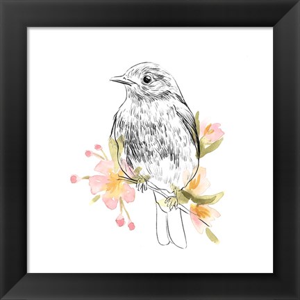 Framed Robin Sketch II Print