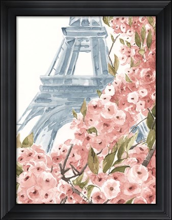 Framed Paris Cherry Blossoms II Print