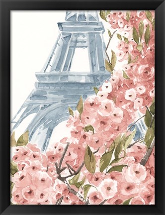 Framed Paris Cherry Blossoms II Print