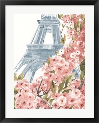 Framed Paris Cherry Blossoms II Print