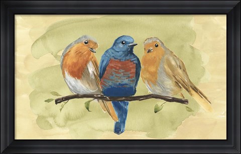 Framed Bird Perch II Print