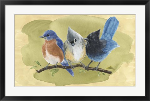 Framed Bird Perch III Print