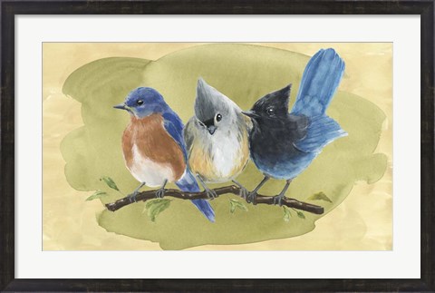 Framed Bird Perch III Print