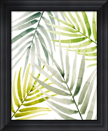 Framed Shady Palm I Print
