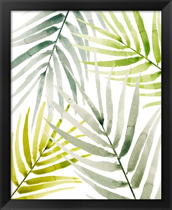 Framed Shady Palm I Print