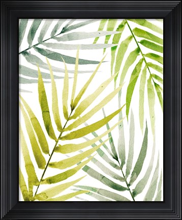 Framed Shady Palm II Print