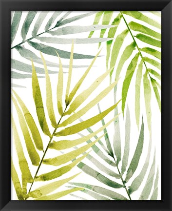 Framed Shady Palm II Print