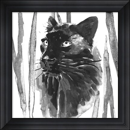 Framed Still Cat I Print