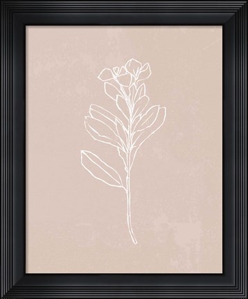 Framed Blush Bloom I Print