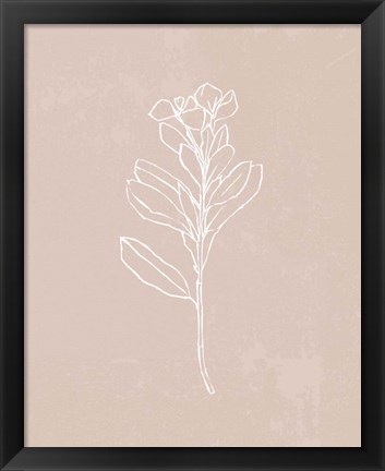 Framed Blush Bloom I Print