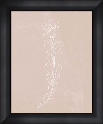 Framed Blush Bloom II Print