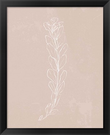 Framed Blush Bloom II Print