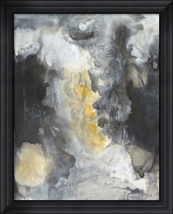 Framed Iris Abstract II Print