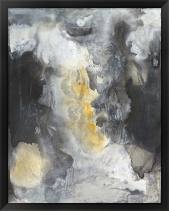 Framed Iris Abstract II Print