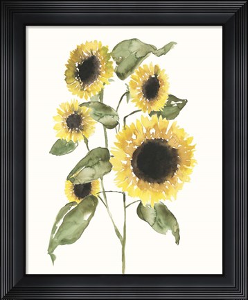 Framed Sunflower Composition I Print