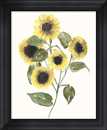 Framed Sunflower Composition II Print
