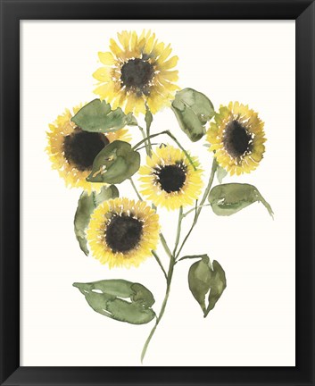 Framed Sunflower Composition II Print