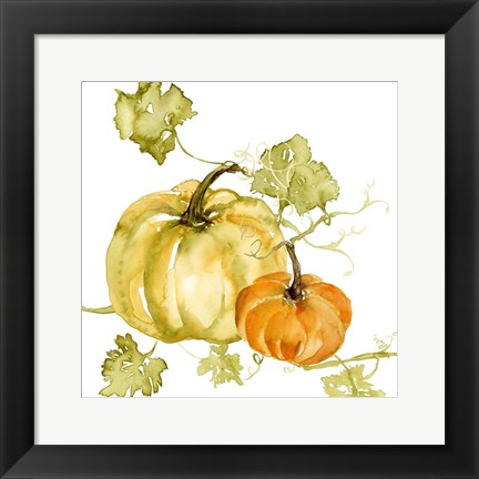 Framed Watercolor Harvest II Print