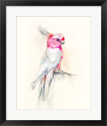 Framed Opera Cockatoo I Print