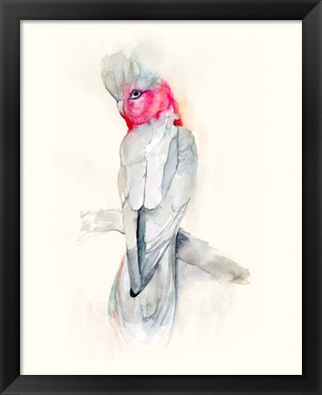 Framed Opera Cockatoo II Print