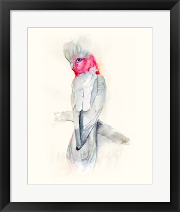 Framed Opera Cockatoo II Print