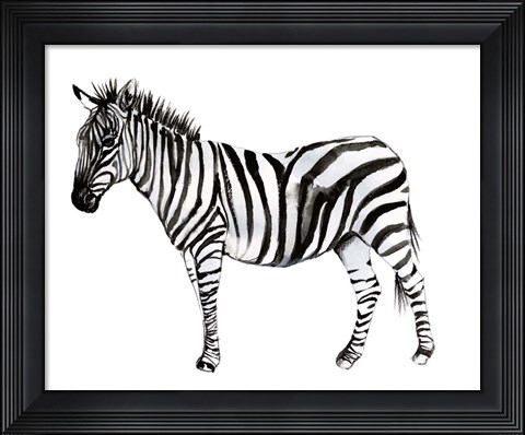 Framed Standing Zebra II Print