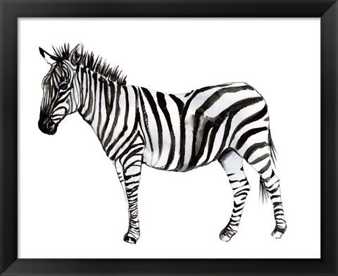 Framed Standing Zebra II Print