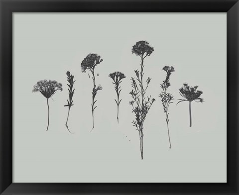 Framed Wildflower Memory II Print