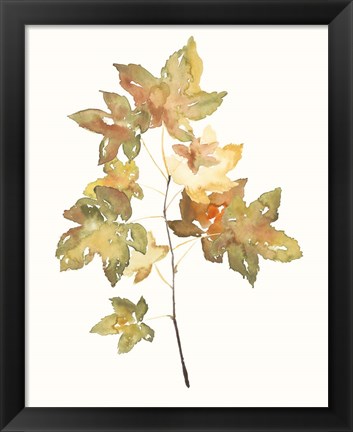 Framed Fall Study I Print