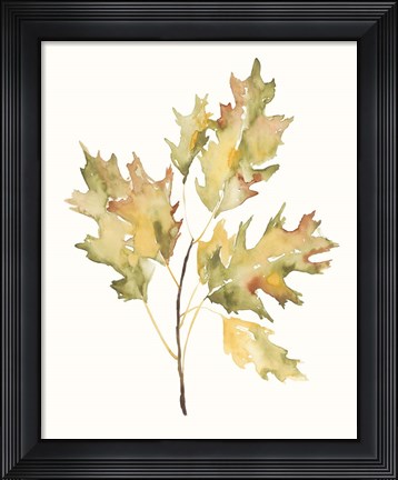 Framed Fall Study II Print