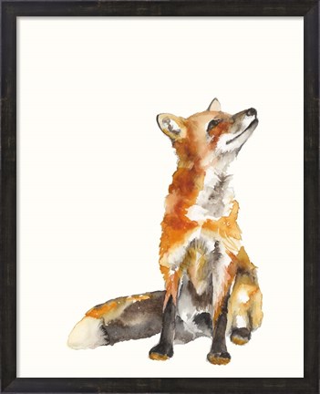 Framed Sly Fox I Print