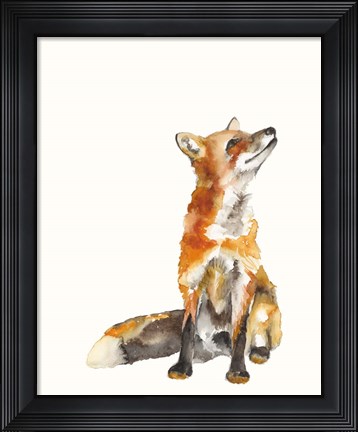 Framed Sly Fox I Print