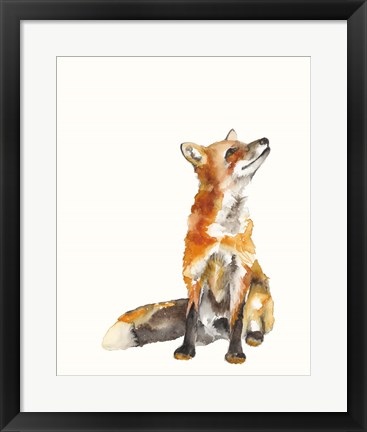 Framed Sly Fox I Print