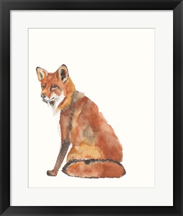 Framed Sly Fox II Print