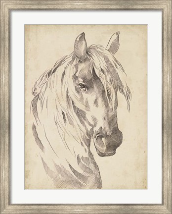 Framed Horse Portrait Sketch I Print