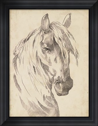 Framed Horse Portrait Sketch I Print