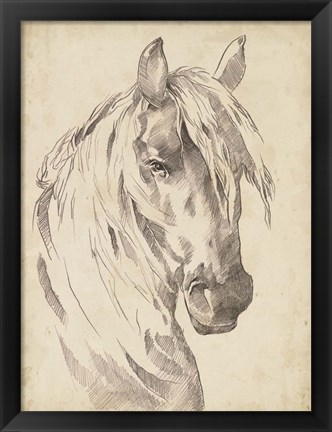 Framed Horse Portrait Sketch I Print