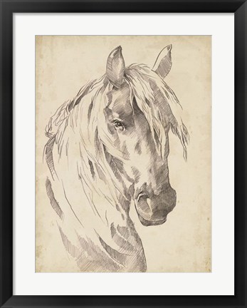 Framed Horse Portrait Sketch I Print