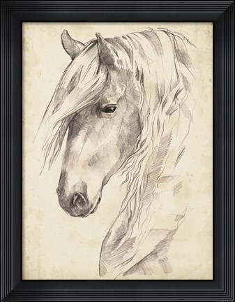 Framed Horse Portrait Sketch II Print